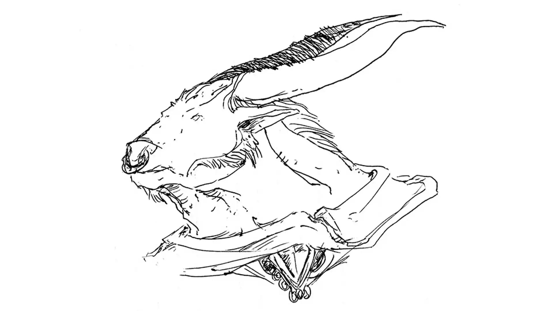 Belharza